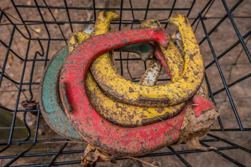 Featured image of post 5 Outdoor Games to Play at Your BBQ